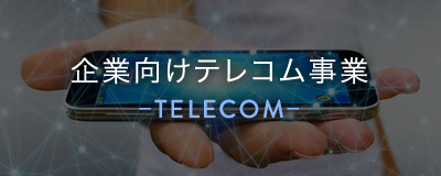 企業向けテレコム事業